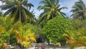 Rihiveli Maldives Resort Male Sud Maldive 31