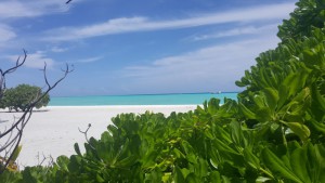Rihiveli Maldives Resort Male Sud Maldive 28