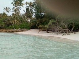 Bandos Island Resort Male Nord Maldive 3