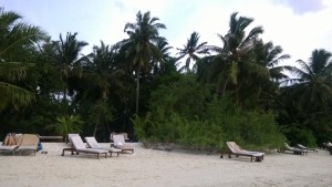 Bandos Island Resort Male Nord Maldive 10
