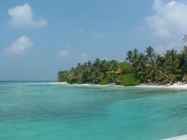 Bandos Island Resort Male Nord Maldive 15