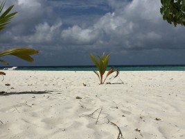 Thulhagiri Island Resort Male Nord Maldive 2