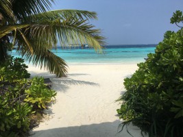 Komandoo Island Resort Lhaviyani Maldive 7