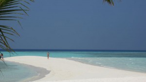Dhiggiri Maldives Felidhoo Maldive 7
