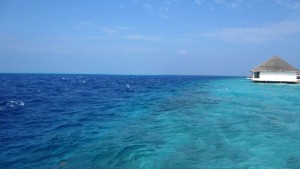 Dhiggiri Maldives Felidhoo Maldive 13