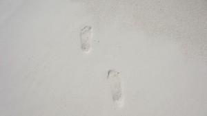 Dhiggiri Maldives Felidhoo Maldive 3