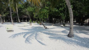 Dhiggiri Maldives Felidhoo Maldive 4