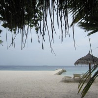 Dhiggiri Maldives Felidhoo Maldive 10