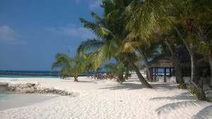 Dhiggiri Maldives Felidhoo Maldive 5