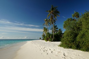 Kudafushi Resort & Spa Raa Maldive 13