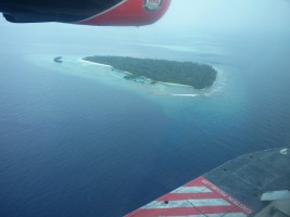 Filitheyo Island Resort Faafu Maldive 1