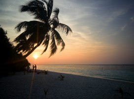 Filitheyo Island Resort Faafu Maldive 4