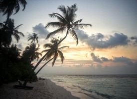 Filitheyo Island Resort Faafu Maldive 8