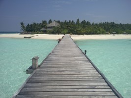 Filitheyo Island Resort Faafu Maldive 9