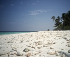 Filitheyo Island Resort Faafu Maldive 10