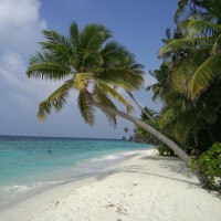 Filitheyo Island Resort Faafu Maldive 12