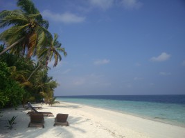 Filitheyo Island Resort Faafu Maldive 16