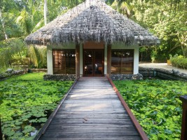 Filitheyo Island Resort Faafu Maldive 19