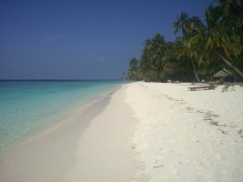 Filitheyo Island Resort Faafu Maldive 22