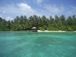 Filitheyo Island Resort Faafu Maldive 25