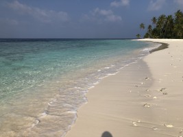 Filitheyo Island Resort Faafu Maldive 20