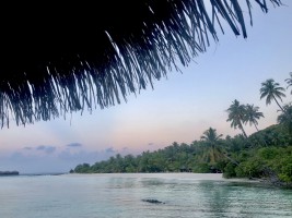 Filitheyo Island Resort Faafu Maldive 28