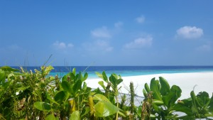 Kudafushi Resort & Spa Raa Maldive 4