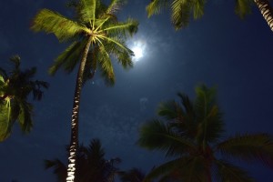 Reethi Faru Resort Raa Maldive 2