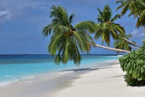 Reethi Faru Resort Raa Maldive 9