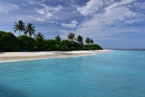 Reethi Faru Resort Raa Maldive 13