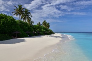 Reethi Faru Resort Raa Maldive 12