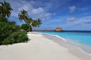 Reethi Faru Resort Raa Maldive 18