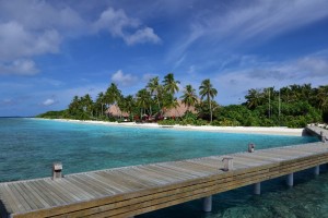 Reethi Faru Resort Raa Maldive 17