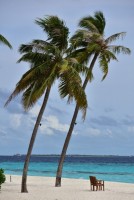 Reethi Faru Resort Raa Maldive 22