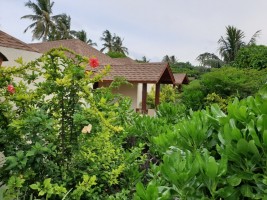 Reethi Faru Resort Raa Maldive 26