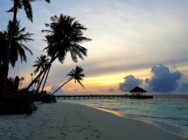 Reethi Faru Resort Raa Maldive 46