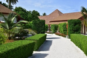 Reethi Faru Resort Raa Maldive 36