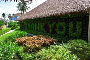 Reethi Faru Resort Raa Maldive 34