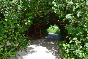Reethi Faru Resort Raa Maldive 37