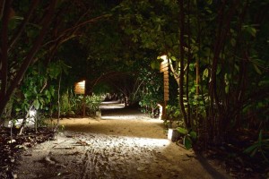 Reethi Faru Resort Raa Maldive 48