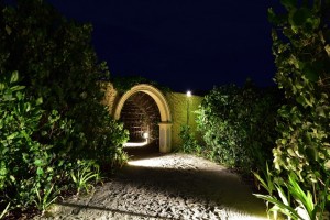 Reethi Faru Resort Raa Maldive 49