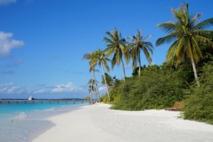 Reethi Faru Resort Raa Maldive 10