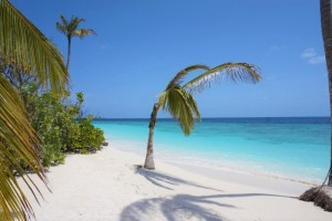 Reethi Faru Resort Raa Maldive 12