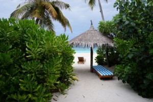 Reethi Faru Resort Raa Maldive 22