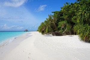 Reethi Faru Resort Raa Maldive 23