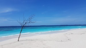 Furaveri Island Resort & Spa Raa Maldive 1
