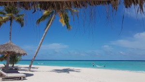 Furaveri Island Resort & Spa Raa Maldive 4