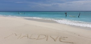 Furaveri Island Resort & Spa Raa Maldive 5
