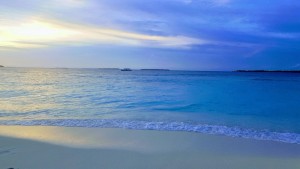 Furaveri Island Resort & Spa Raa Maldive 7