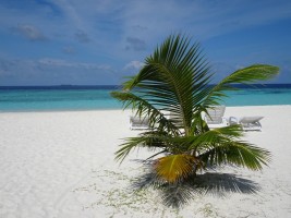 Thulhagiri Island Resort Male Nord Maldive 4